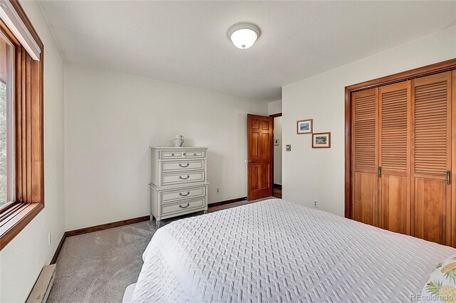 bedroom featuring carpet, a closet, and a baseboard radiator