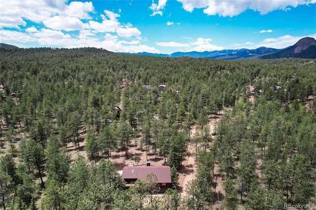 birds eye view of property featuring a mountain view