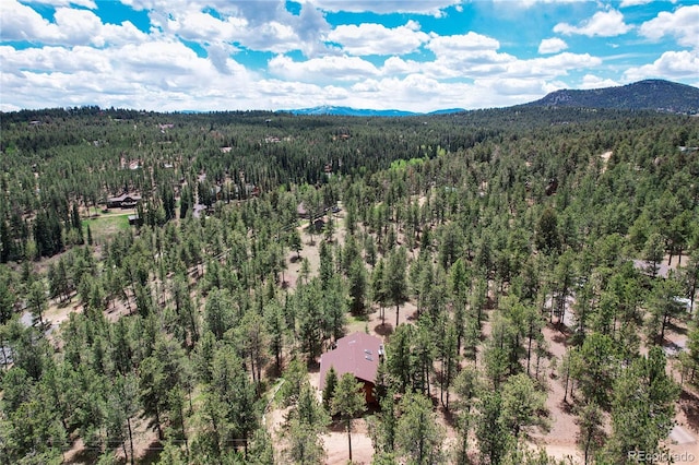 birds eye view of property with a mountain view