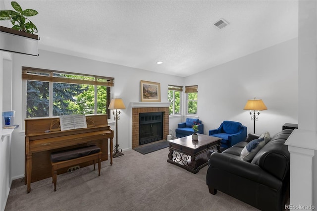 1111 S Garrison St Unit 202, Lakewood, CO 80232 - living area featuring a textured ceiling, plenty of natural light, carpet, a fireplace, and baseboards