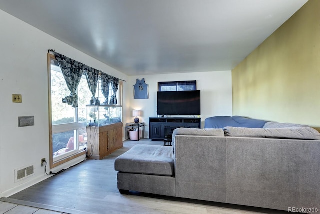 living room with wood-type flooring