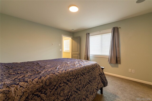 23786 Shylo Dr, Pueblo, CO 81006 - photo 44