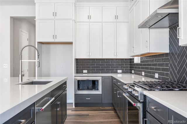 kitchen featuring sink, dark hardwood / wood-style flooring, white cabinetry, appliances with stainless steel finishes, and wall chimney exhaust hood