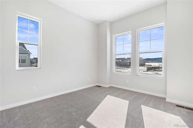 carpeted empty room with a healthy amount of sunlight