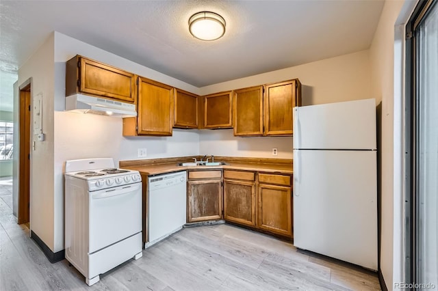 kitchen with light wood-type flooring, sink, and white appliances