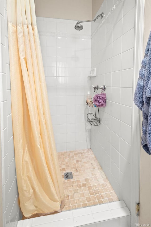 1060 Alta Vista Dr, Craig, CO 81625 - bathroom featuring a stall shower