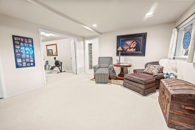 1060 Alta Vista Dr, Craig, CO 81625 - sitting room featuring carpet, baseboards, and recessed lighting
