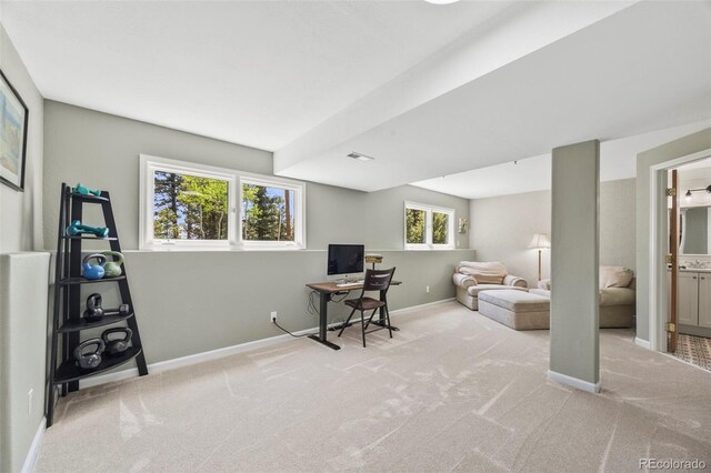 30866 Kings Valley Way, Conifer, CO 80433 - photo 31