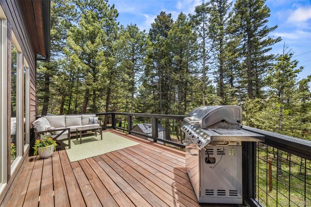 30866 Kings Valley Way, Conifer, CO 80433 - photo 33