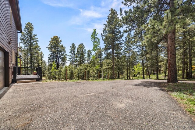 30866 Kings Valley Way, Conifer, CO 80433 - photo 35