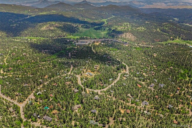 30866 Kings Valley Way, Conifer, CO 80433 - photo 44