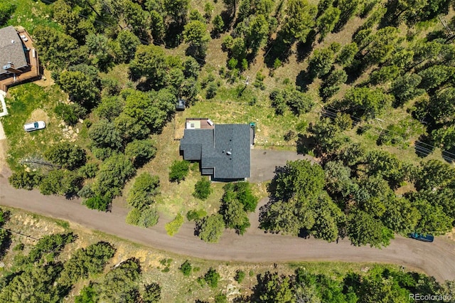 30866 Kings Valley Way, Conifer, CO 80433 - photo 40