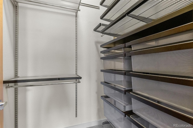 7700 E 29th Ave Unit 304, Denver, CO 80238 - view of spacious closet