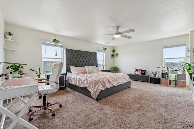 7498 E 157th Pl, Thornton, CO 80602 - carpeted bedroom featuring an office area, multiple windows, and ceiling fan