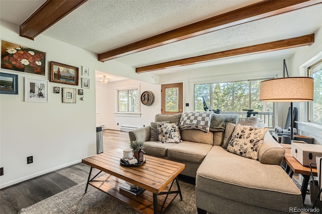 28669 Mountain View Rd, Conifer, CO 80433 - living area featuring baseboard heating, wood finished floors, plenty of natural light, a textured ceiling, and beamed ceiling