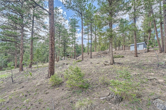 28669 Mountain View Rd, Conifer, CO 80433 - view of yard