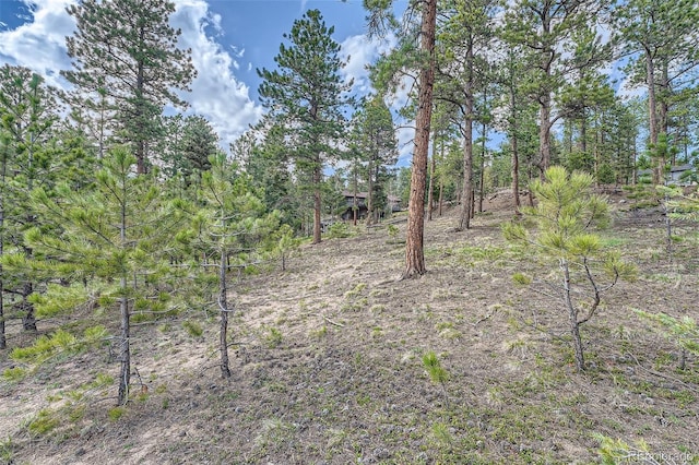 28669 Mountain View Rd, Conifer, CO 80433 - view of undeveloped land