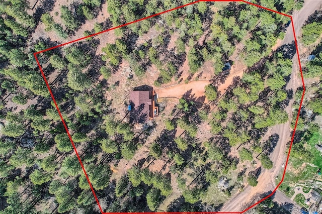 28669 Mountain View Rd, Conifer, CO 80433 - aerial view of property's location with property parcel outlined