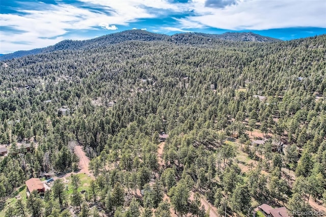 28669 Mountain View Rd, Conifer, CO 80433 - bird's eye view of a heavily wooded area and a mountainous background
