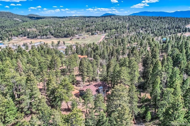 28669 Mountain View Rd, Conifer, CO 80433 - bird's eye view of a heavily wooded area and a mountainous background