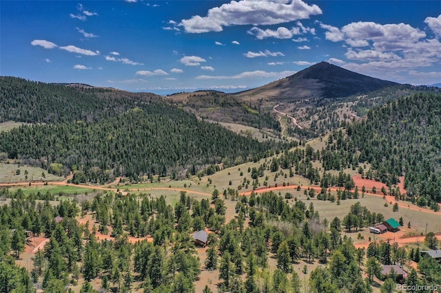 view of mountain feature