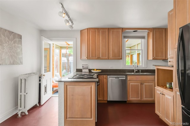 2845 Quitman St, Denver, CO 80212 - kitchen with appliances with stainless steel finishes, radiator heating unit, a sink, and healthy amount of natural light