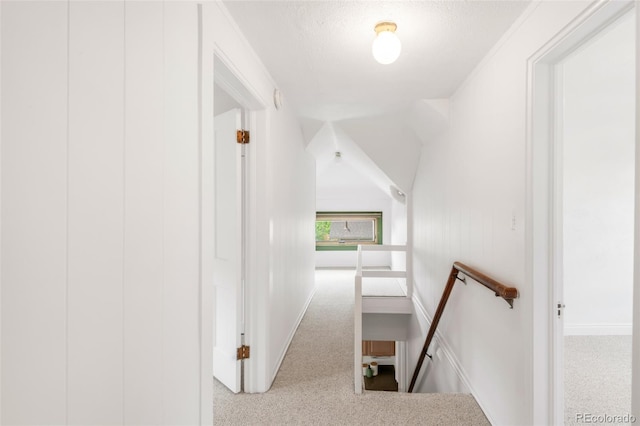 2845 Quitman St, Denver, CO 80212 - staircase featuring carpet, baseboards, and a textured ceiling