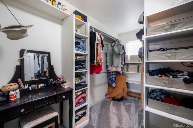 2204 Reed Grass Way, Colorado Springs, CO 80915 - walk in closet featuring carpet