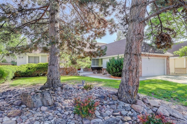 6055 W Warren, Lakewood, CO 80227 - view of property hidden behind natural elements with an attached garage, brick siding, concrete driveway, a front yard, and roof with shingles