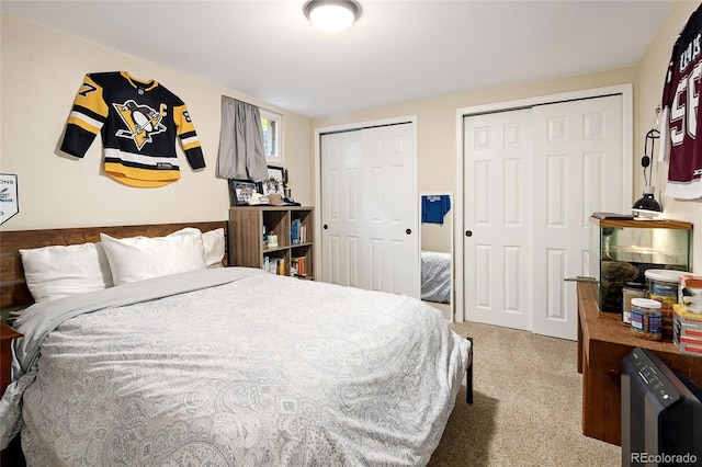 745 S Glencoe St, Denver, CO 80246 - carpeted bedroom featuring multiple closets