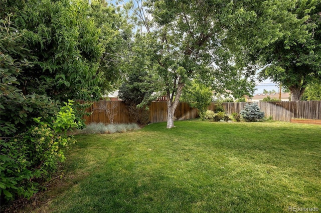745 S Glencoe St, Denver, CO 80246 - view of fenced backyard