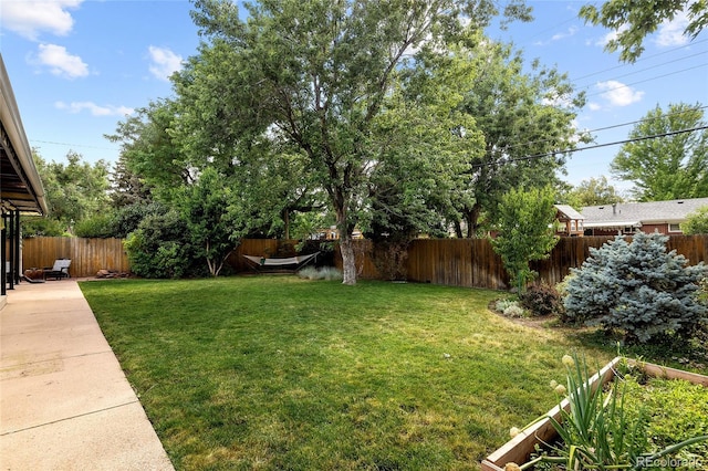 745 S Glencoe St, Denver, CO 80246 - view of fenced backyard