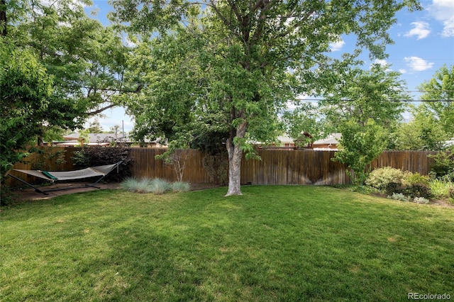 745 S Glencoe St, Denver, CO 80246 - view of fenced backyard