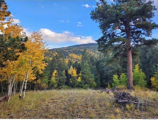 Listing photo 2 for 2724 Yorktown Rd, Cripple Creek CO 80813