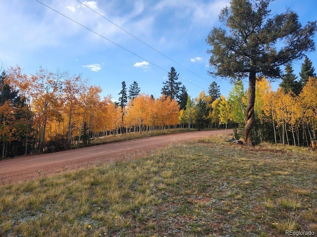 Listing photo 3 for 2724 Yorktown Rd, Cripple Creek CO 80813