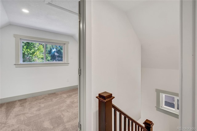 additional living space with light colored carpet, a textured ceiling, and lofted ceiling