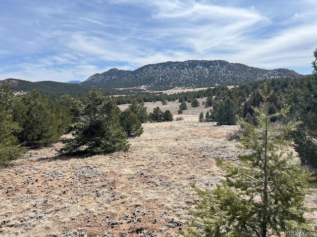 480 Wild Bill Blvd, Westcliffe CO, 81252 land for sale