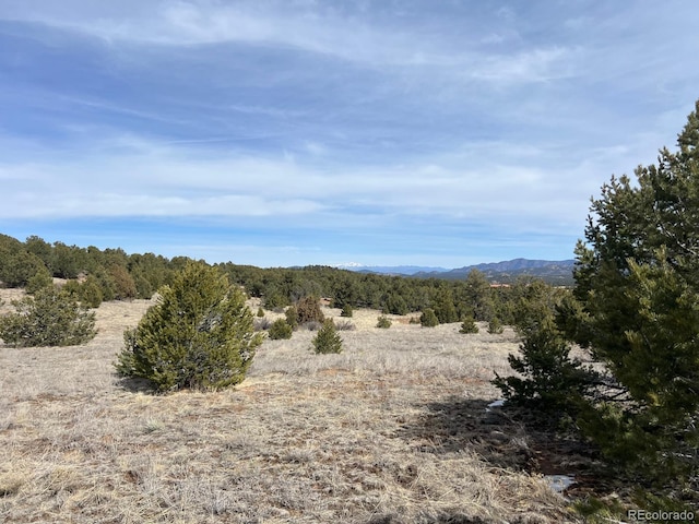 Listing photo 2 for 480 Wild Bill Blvd, Westcliffe CO 81252