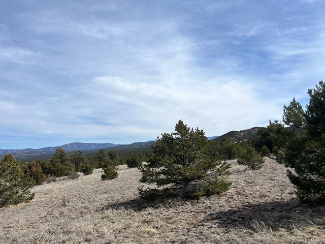 480 Wild Bill Blvd, Westcliffe, CO 81252 - photo 4