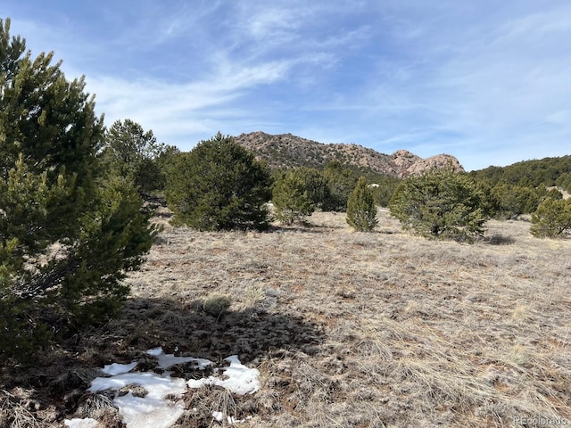 480 Wild Bill Blvd, Westcliffe, CO 81252 - photo 5