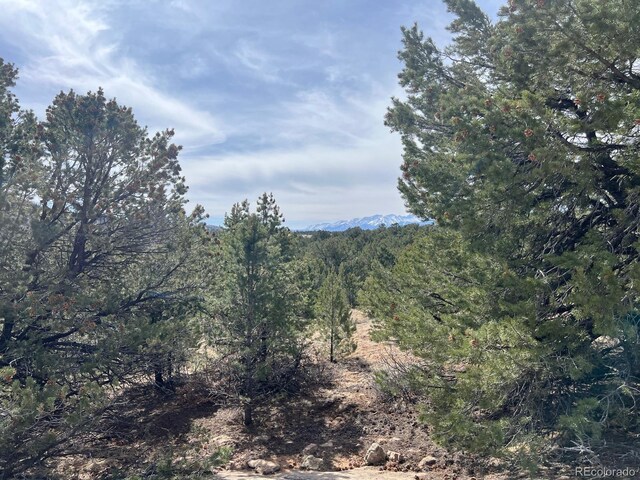 480 Wild Bill Blvd, Westcliffe, CO 81252 - photo 6
