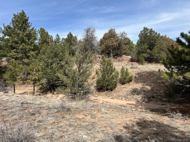 480 Wild Bill Blvd, Westcliffe, CO 81252 - photo 7