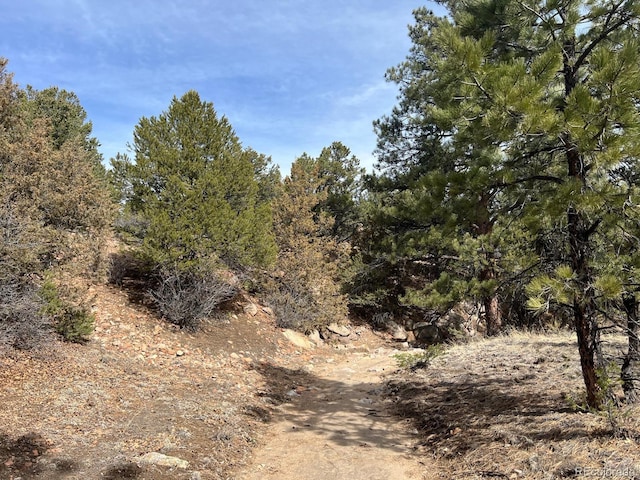 480 Wild Bill Blvd, Westcliffe, CO 81252 - photo 8
