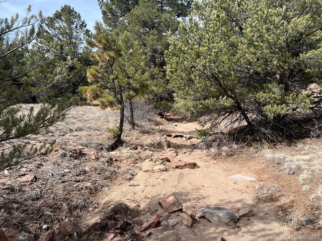 480 Wild Bill Blvd, Westcliffe, CO 81252 - photo 9
