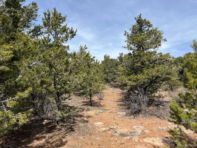480 Wild Bill Blvd, Westcliffe, CO 81252 - photo 14