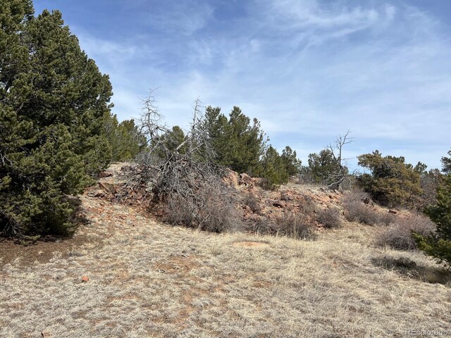 480 Wild Bill Blvd, Westcliffe, CO 81252 - photo 20