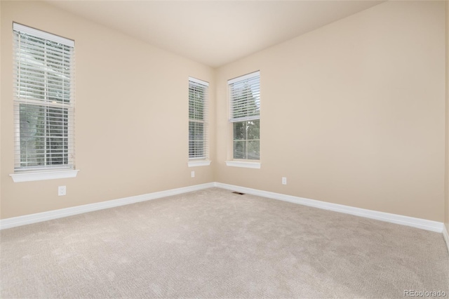 10703 Braesheather Ct, Highlands Ranch, CO 80126 - photo 18
