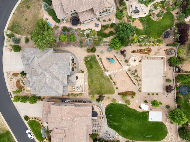 10703 Braesheather Ct, Highlands Ranch, CO 80126 - photo 43
