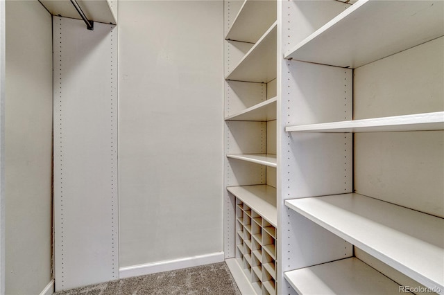 4800 E Hale Pkwy Unit 802N, Denver, CO 80220 - walk in closet with carpet floors
