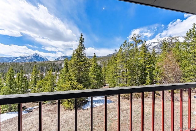 9460 Ryan Gulch Rd Unit 9465, Silverthorne, CO 80498 - photo 9